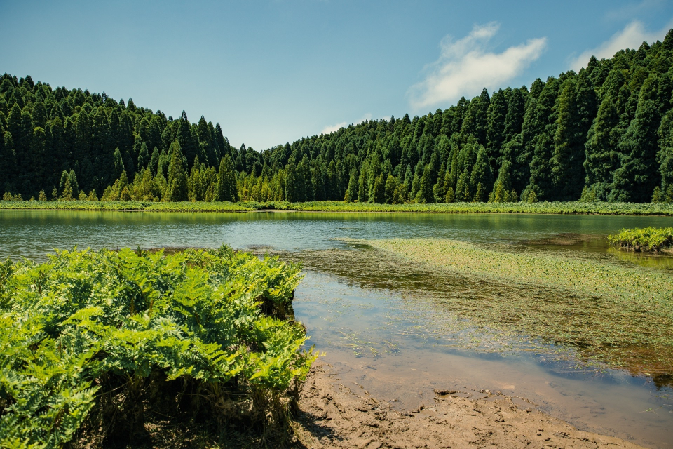 Foto ke galerii Azorské ostrovy