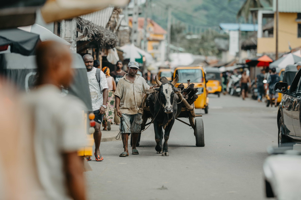 Foto ke galerii Madagaskar