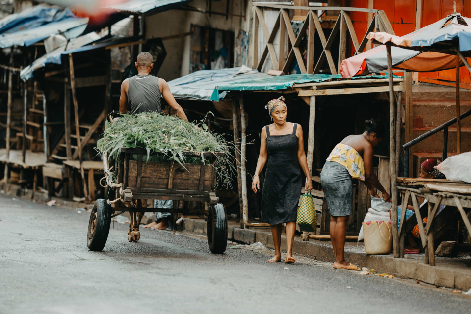 Foto ke galerii Madagaskar