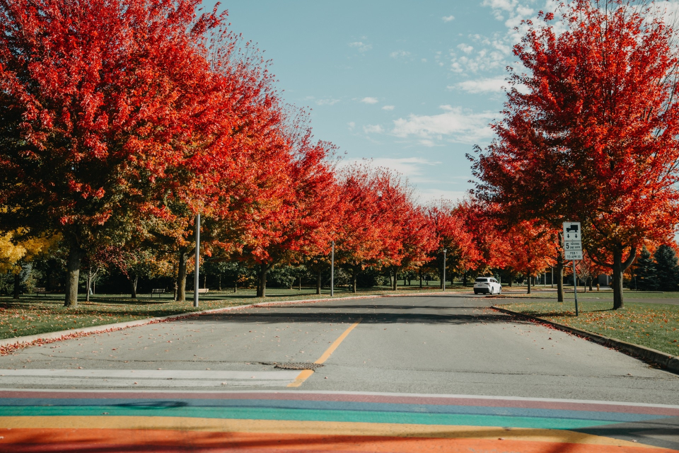 Foto ke galerii Kanada