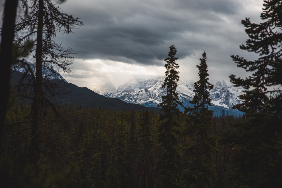 Foto ke galerii Kanada